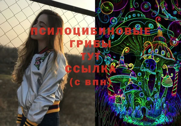 меф Белокуриха