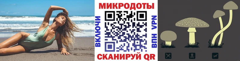 купить Ахтырский Галлюциногенные грибы GOLDEN TEACHER